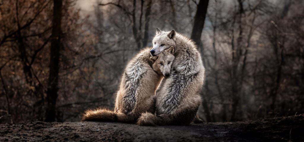Focení zvířat v ZOO Brno